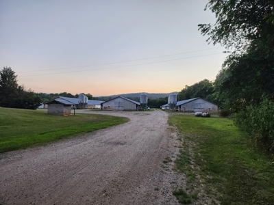 Income Producing Poultry in North Carolina: 8 broilers house - image 25