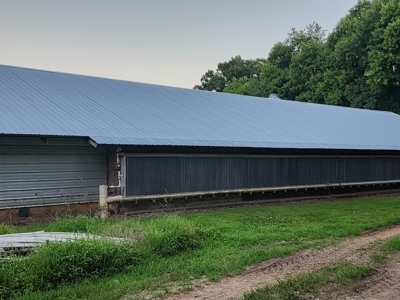 Income Producing Poultry in North Carolina: 8 broilers house - image 23