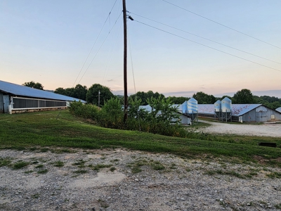 Income Producing Poultry in North Carolina: 8 broilers house - image 15