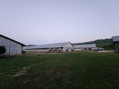 Income Producing Poultry in North Carolina: 8 broilers house - image 33