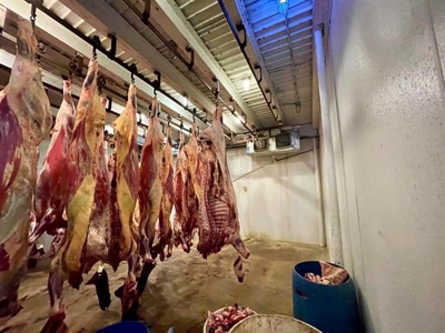 Custom Butcher Shop for Sale Salem, AR - image 41