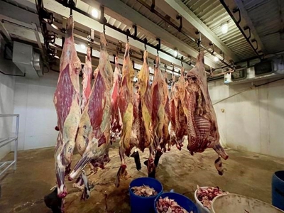 Custom Butcher Shop for Sale Salem, AR - image 40