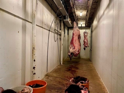 Custom Butcher Shop for Sale Salem, AR - image 38
