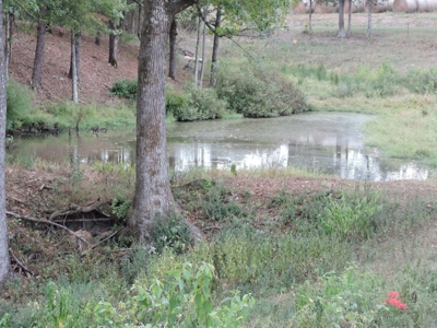 Fourche La Fave River Farm FOR SALE - image 25