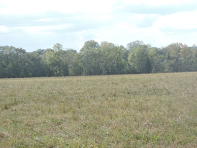 Fourche La Fave River Farm FOR SALE - image 46