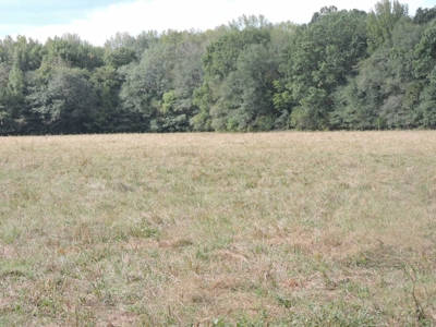 Fourche La Fave River Farm FOR SALE - image 17