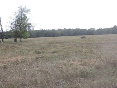 Fourche La Fave River Farm FOR SALE - image 34