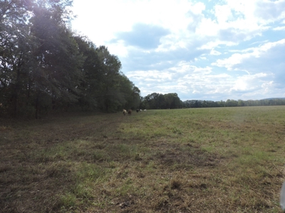 Fourche La Fave River Farm FOR SALE - image 45