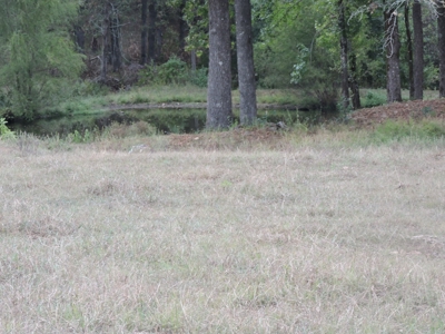 Fourche La Fave River Farm FOR SALE - image 19