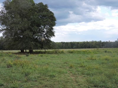 Fourche La Fave River Farm FOR SALE - image 41