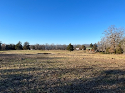 Fourche La Fave River Farm FOR SALE - image 2