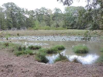 Fourche La Fave River Farm FOR SALE - image 31