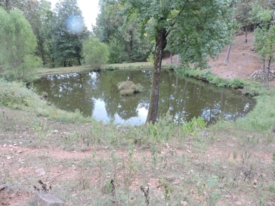 Fourche La Fave River Farm FOR SALE - image 24