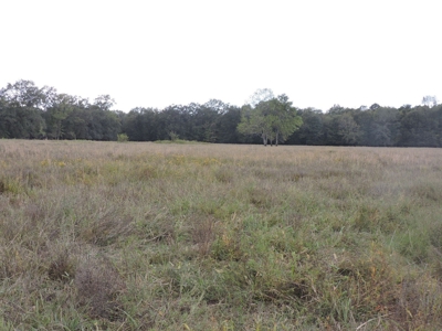 Fourche La Fave River Farm FOR SALE - image 35