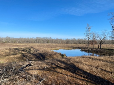Fourche La Fave River Farm FOR SALE - image 4