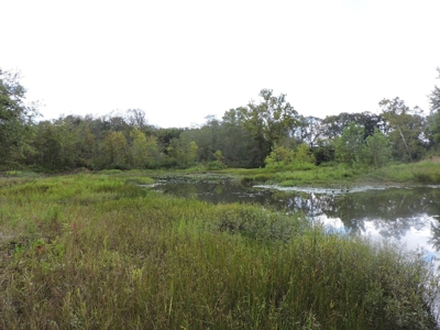 Fourche La Fave River Farm FOR SALE - image 38