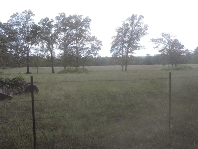 Fourche La Fave River Farm FOR SALE - image 28