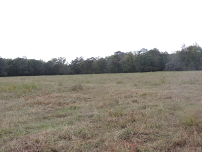 Fourche La Fave River Farm FOR SALE - image 36
