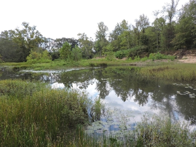 Fourche La Fave River Farm FOR SALE - image 37