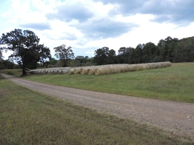 Fourche La Fave River Farm FOR SALE - image 18