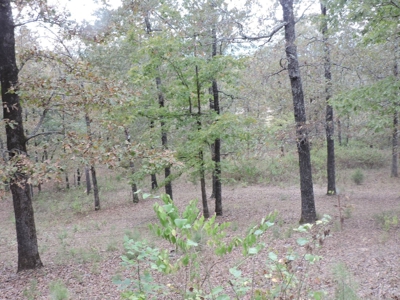 Fourche La Fave River Farm FOR SALE - image 27