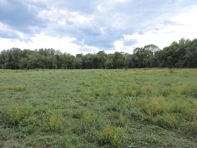 Fourche La Fave River Farm FOR SALE - image 40