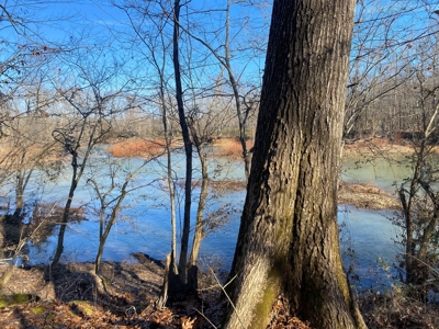 Fourche La Fave River Farm FOR SALE - image 7