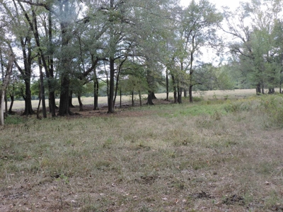 Fourche La Fave River Farm FOR SALE - image 32