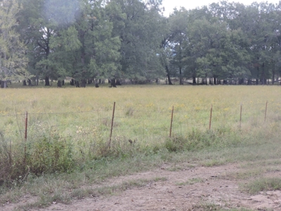 Fourche La Fave River Farm FOR SALE - image 30