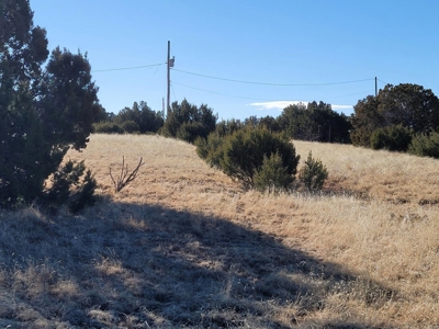Escape to Peaceful Living in Moriarty, NM: 5.2 Acres - image 4