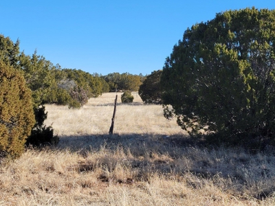 Escape to Peaceful Living in Moriarty, NM: 5.2 Acres - image 3
