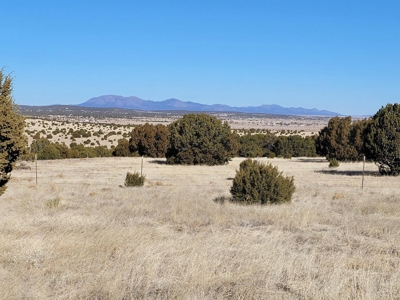 Escape to Peaceful Living in Moriarty, NM: 5.2 Acres - image 1