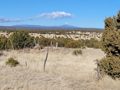 Escape to Peaceful Living in Moriarty, NM: 5.2 Acres - image 2