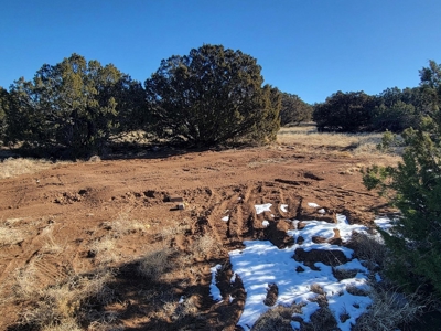 Escape to Peaceful Living in Moriarty, NM: 5.2 Acres - image 5