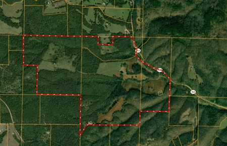 Farm or Hunting Property with Cabin - image 2