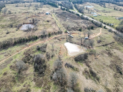 Texas Ranchland for Sale - image 17