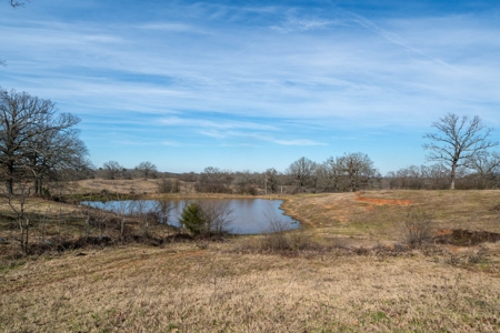 Texas Ranchland for Sale - image 7