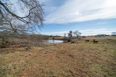 Texas Ranchland for Sale - image 20