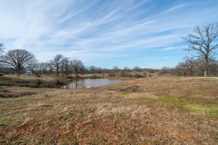 Texas Ranchland for Sale - image 23