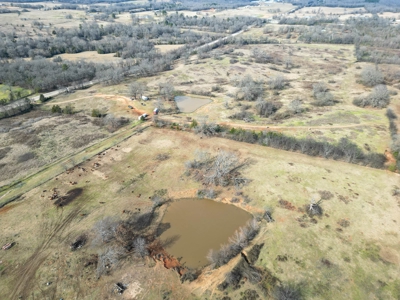 Texas Ranchland for Sale - image 15