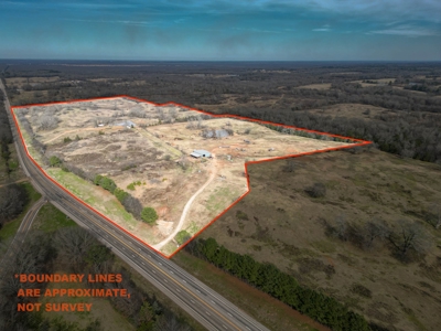 Texas Ranchland for Sale - image 14