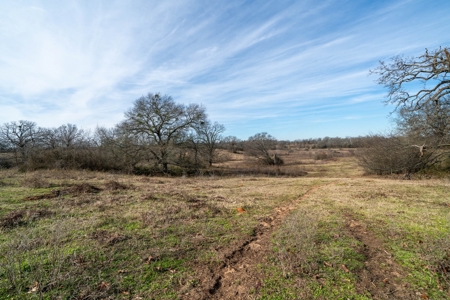 Texas Ranchland for Sale - image 19