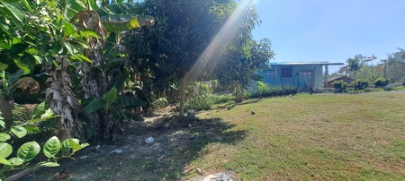 Charming 2-Bedroom Home with Spacious Yard in El Higo - image 4