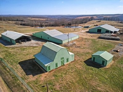 Missouri Ozarks Horse Farm & Cattle Ranch with Family Home - image 3