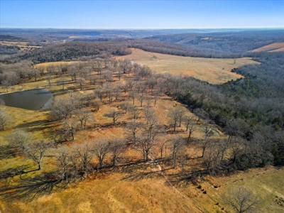 Missouri Ozarks Horse Farm & Cattle Ranch with Family Home - image 6