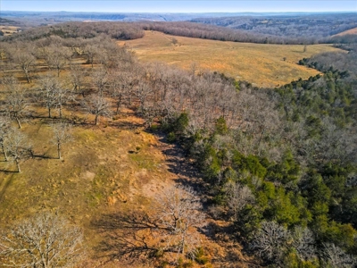 Missouri Ozarks Horse Farm & Cattle Ranch with Family Home - image 42