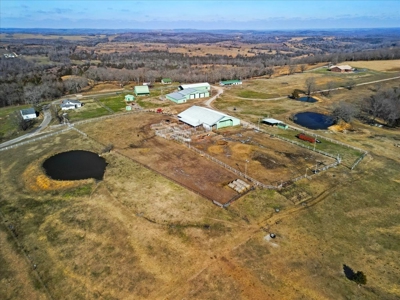 Missouri Ozarks Horse Farm & Cattle Ranch with Family Home - image 5