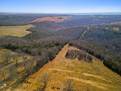 Missouri Ozarks Horse Farm & Cattle Ranch with Family Home - image 15