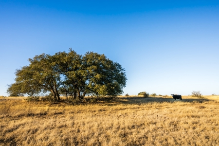 For Sale: The Schoolhouse Ranch, 442.7 ac in Mountain Home, - image 28