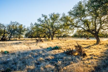 For Sale: The Schoolhouse Ranch, 442.7 ac in Mountain Home, - image 4